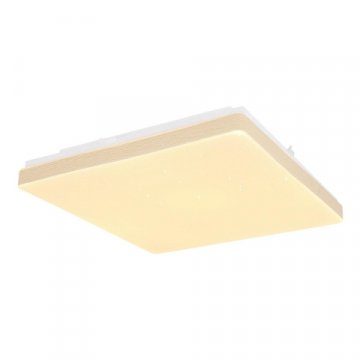 Потолочный светодиодный светильник Globo Raina 48296W