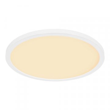 Потолочный светодиодный светильник Globo Sapana 41562-24W