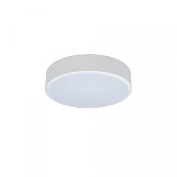 Потолочный светодиодный светильник Loft IT Axel 10002/12 white