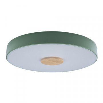Потолочный светодиодный светильник Loft IT Axel 10003/24 green