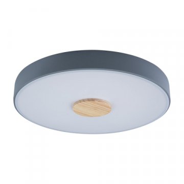 Потолочный светодиодный светильник Loft IT Axel 10003/24 grey