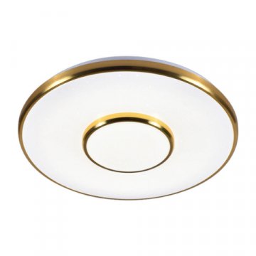 Потолочный светодиодный светильник Profit Light 2096/450 WH+CR