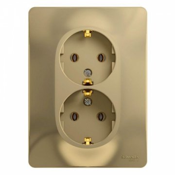 Розетка двойная 2К+З Schneider Electric Glossa 16A 250V титан GSL000424