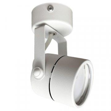 Спот True Energy Focus 21344