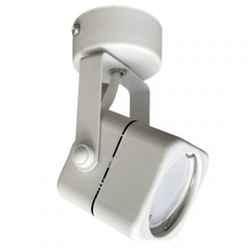 Спот True Energy Focus 21346