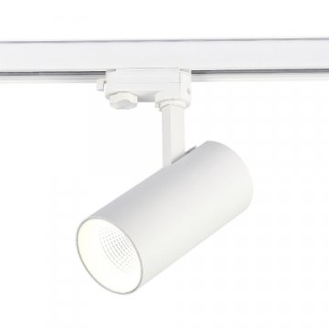 Трековый светодиодный светильник ST Luce ST661.546.30
