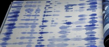 Обои Grandeco Village People VP 3101