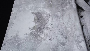 Обои Grandeco Wanderlust wl1201