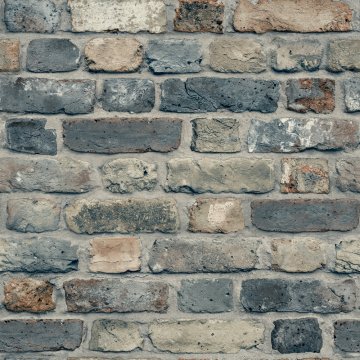 Обои Grandeco Wanderlust wl2204