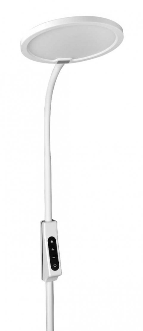 Торшер Camelion KD-836F C01 13406