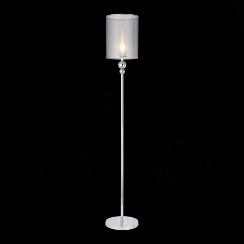 Торшер Evoluce Pazione SLE107105-01