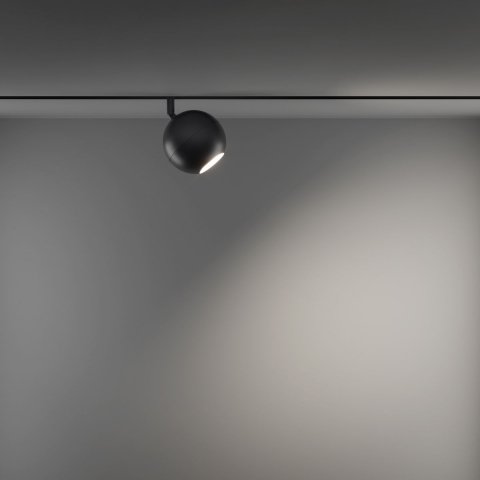 Трековый светодиодный светильник для магнитного шинопровода Maytoni Technical Ball TR028-2-15W3K-B