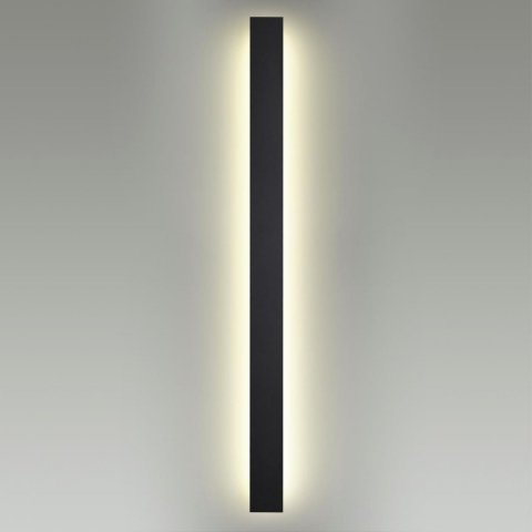 Уличный настенный светодиодный светильник Odeon Light Fibi 4379/29WL