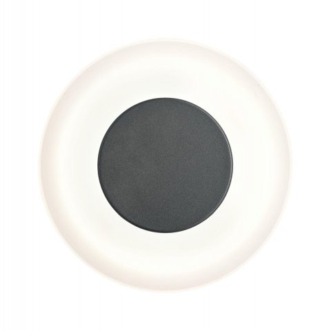 Уличный настенный светодиодный светильник Paulmann Wandl 94409