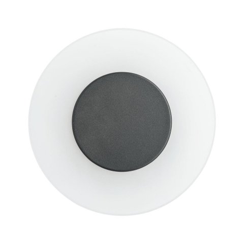 Уличный настенный светодиодный светильник Paulmann Wandl 94409