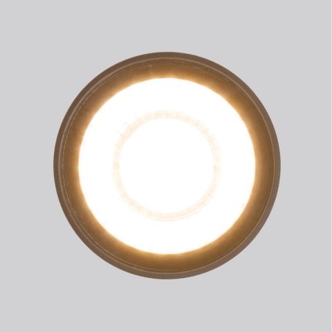 Уличный светодиодный светильник Elektrostandard Light Led 35132/H черный a056231