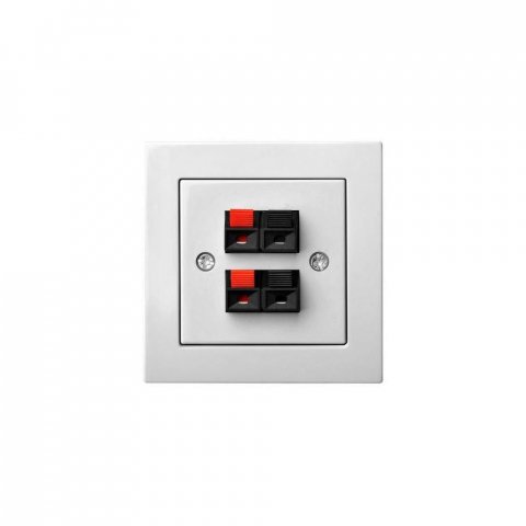 Аудиорозетка двойная Liregus Epsilon белый 28-037