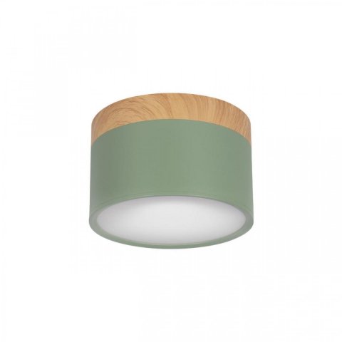 Накладной светодиодный светильник Loft IT Grape 10162 Green