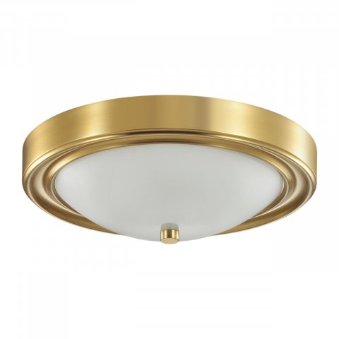 Настенно-потолочный светильник Lumion Vintage Nina 5259/2C