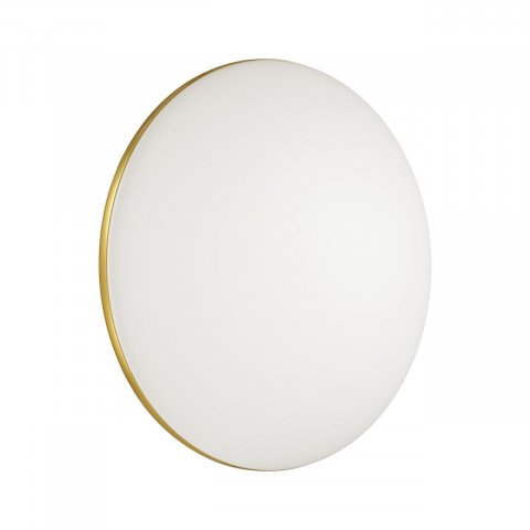 Настенно-потолочный светодиодный светильник Sonex Tan Lassa 3043/DL