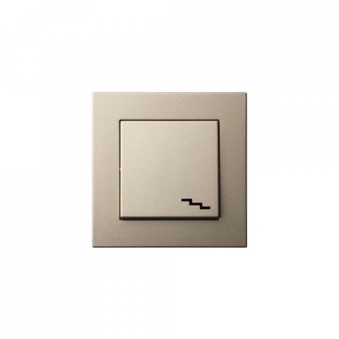 Переключатель одноклавишный Liregus Epsilon шампань 28-303