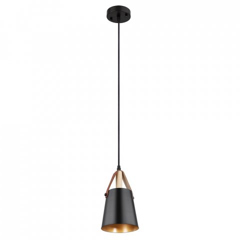 Подвесной светильник Arte Lamp THOMAS A7032SP-1BK