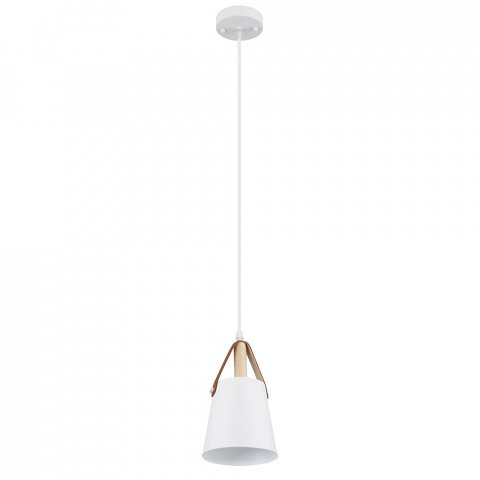 Подвесной светильник Arte Lamp THOMAS A7032SP-1WH