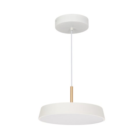 Подвесной светодиодный светильник Arlight Sp-Elegant-R300-17W Day4000 033919