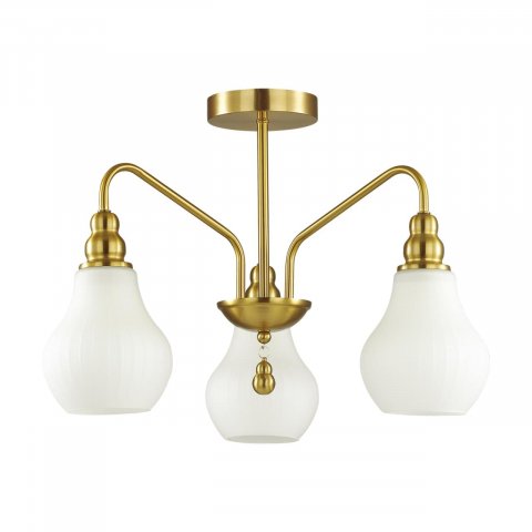 Потолочная люстра Lumion Moderni Eleonora 4562/3C