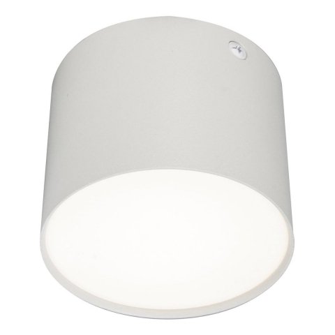 Потолочный светодиодный светильник Escada 20004SMU/01LED SWH