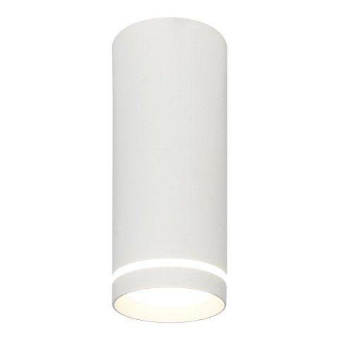 Потолочный светодиодный светильник Escada 20009SMU/02LED SWH