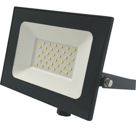 Прожектор светодиодный True Energy Power Plus 30W, 6500K, IP65, черный 13014