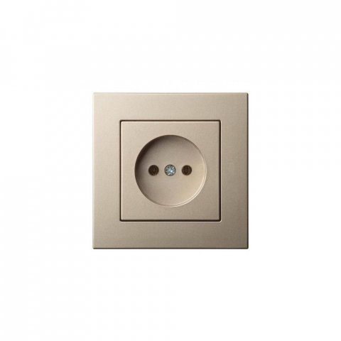 Розетка 2P Liregus Epsilon шампань 28-309