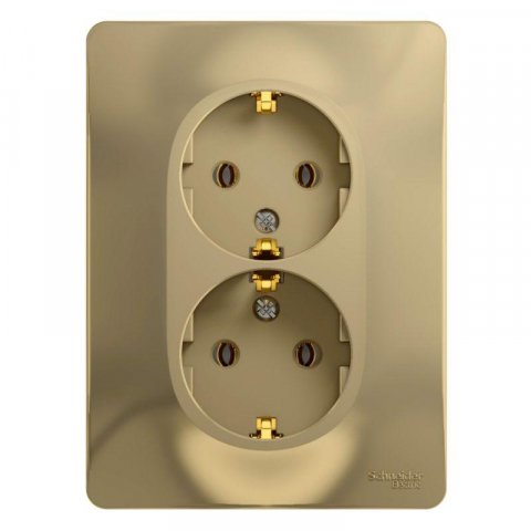Розетка двойная 2К+З Schneider Electric Glossa 16A 250V титан GSL000424
