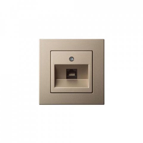 Розетка RJ45 Liregus Epsilon шампань 28-316