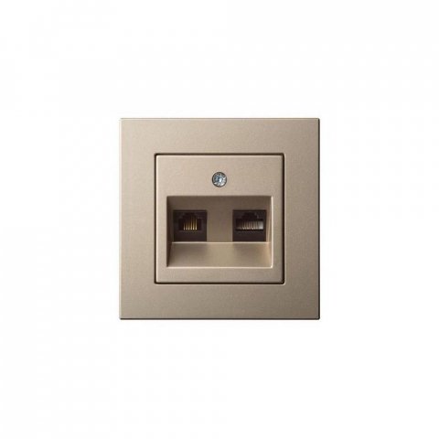 Розетка RJ45/RJ11 Liregus Epsilon шампань 28-3165