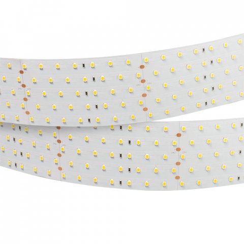 Светодиодная лента Arlight 36W/m 350LED/m 2835SMD холодный белый 2,5M 019083(1)