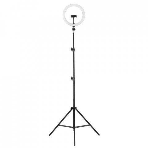 Торшер Camelion KD-810F C02 13010