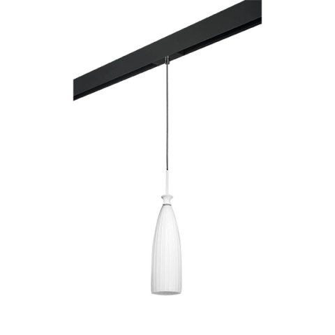 Трековый светильник Lightstar Agola (810010+595007) PRO810010