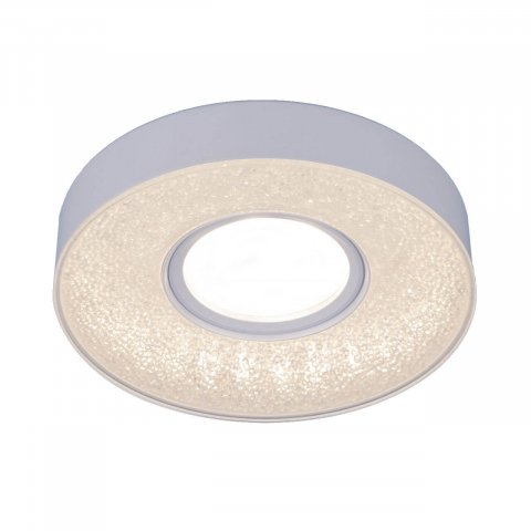 Встраиваемый светильник Elektrostandard 2241 MR16 WH белый a045482