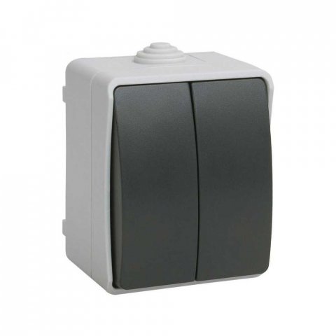 Выключатель двухклавишный IEK Fors серый EVS20-K03-10-54-DC