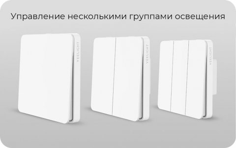 Выключатель двухклавишный Yeelight Flex Switch YLKG13YL